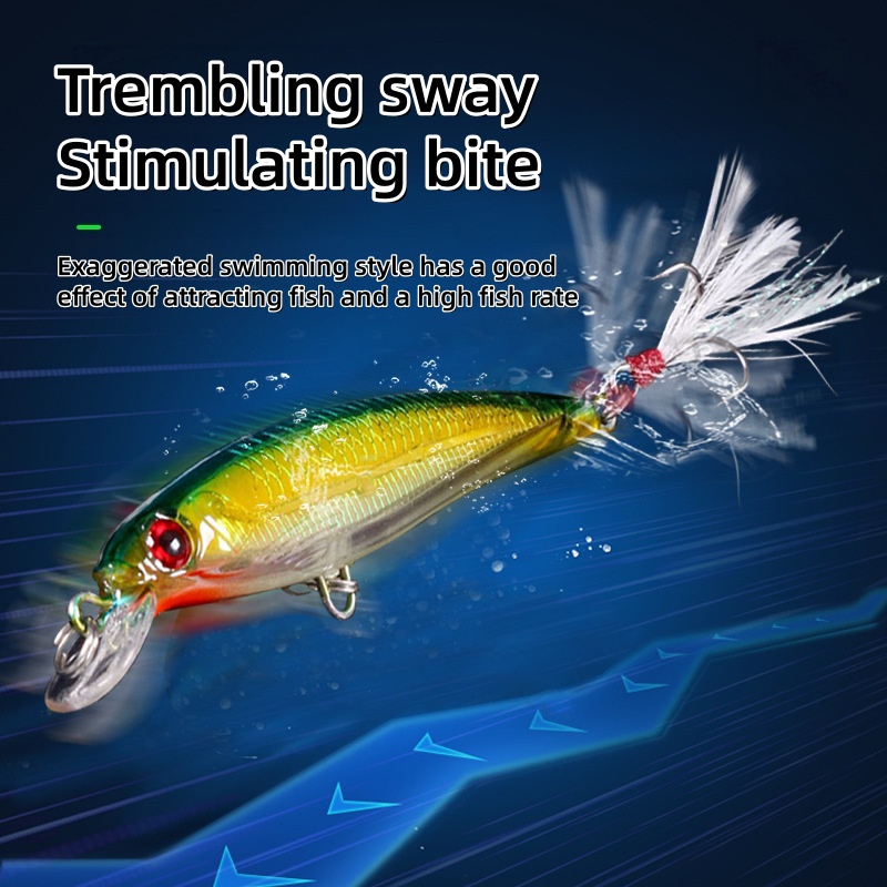 Laser-Minnow-Angelköder, 10/5  – Fishing Kayak Sit On Top Bewertung und Preis